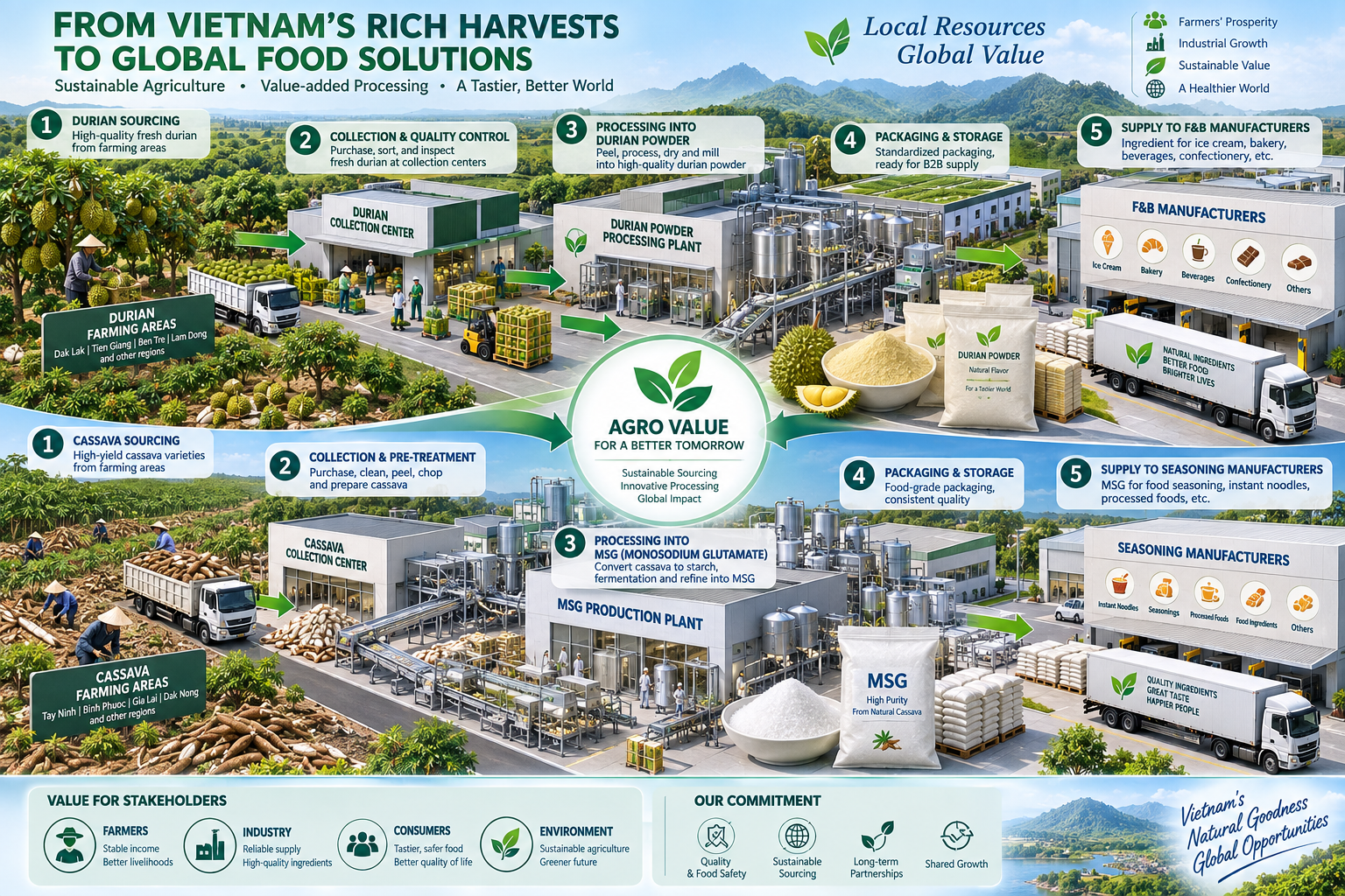 Durian powder and high-yield cassava sourcing and processing concept