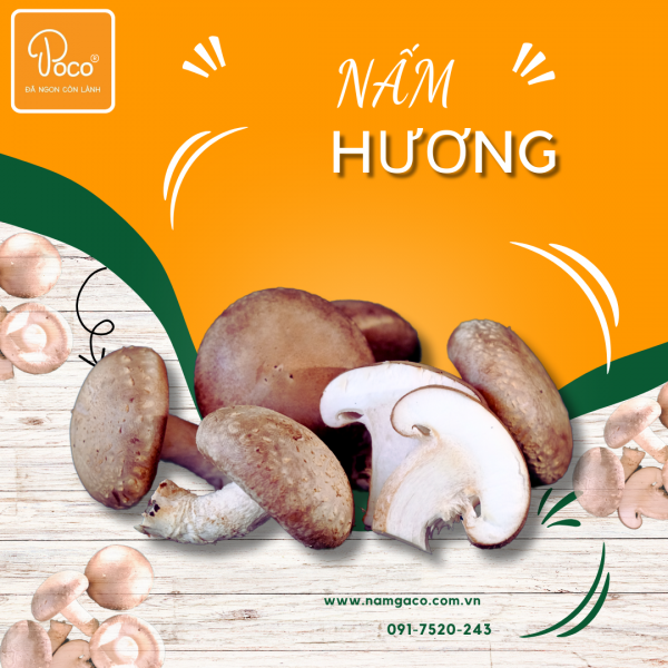 GACO shiitake mushrooms