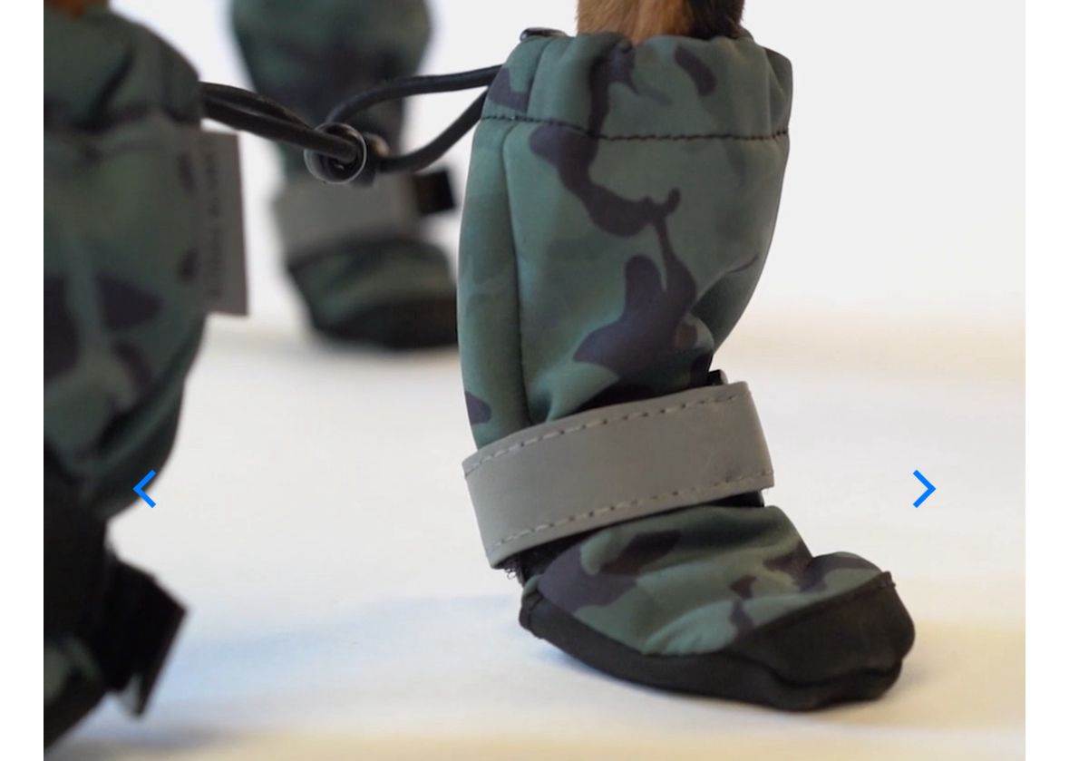Close-up view of protective pet footwear