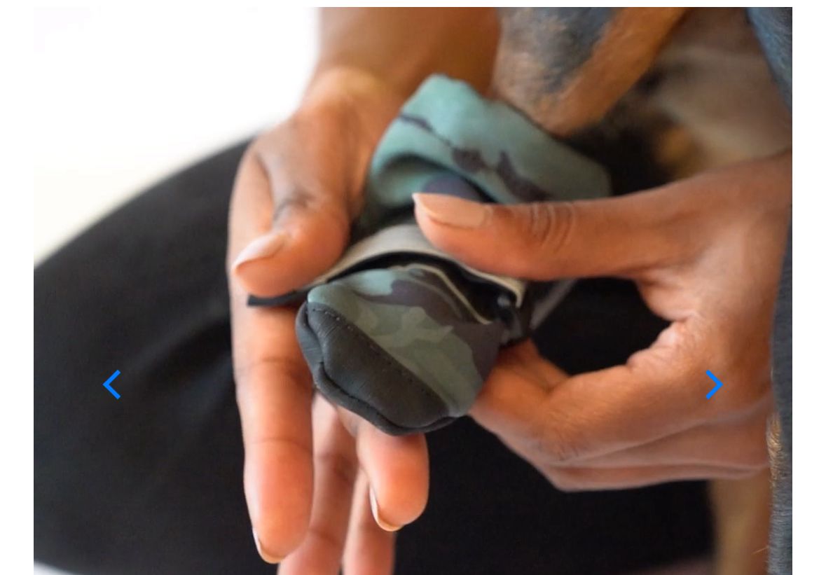 Adjustable protective pet footwear being fitted