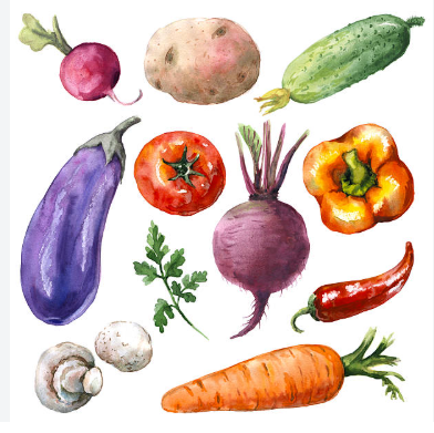 Vegetable and botanical seasoning ingredients