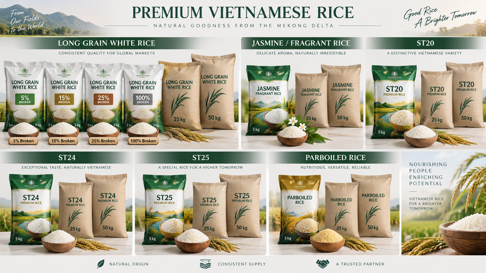 Premium Vietnamese rice product range including long-grain white rice, Jasmine, ST20, ST24, ST25 and parboiled rice
